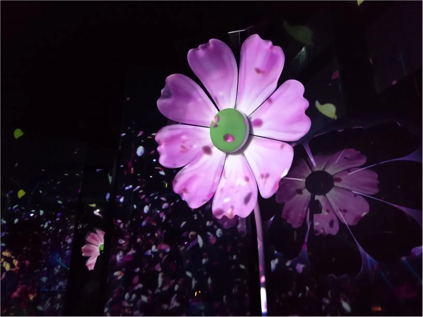 ≪京都・二条城≫先進アートとコラボ! 花がモチーフflowers by nakedライトアップ☆_4