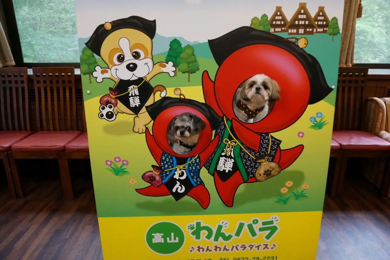 【飛騨高山】わんこと一緒にお出かけ_3